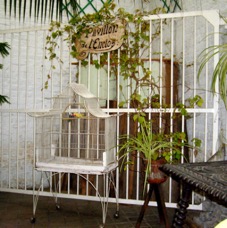 Patio - 6