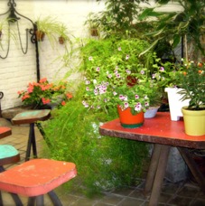 Patio - 9