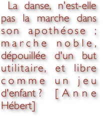 Pasted Graphic 5